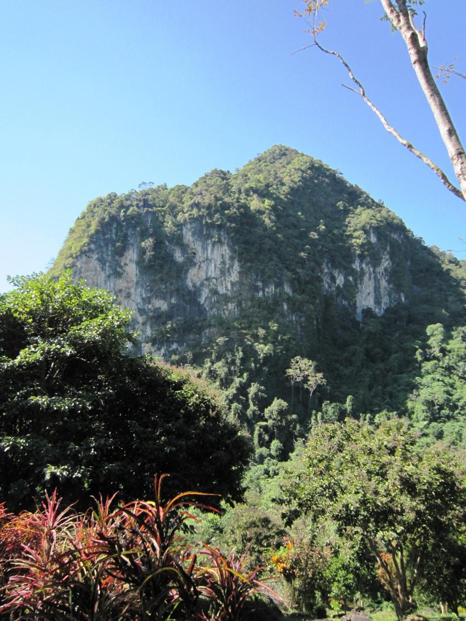 Phanom Bencha Mountain Resort Krabi Exterior photo