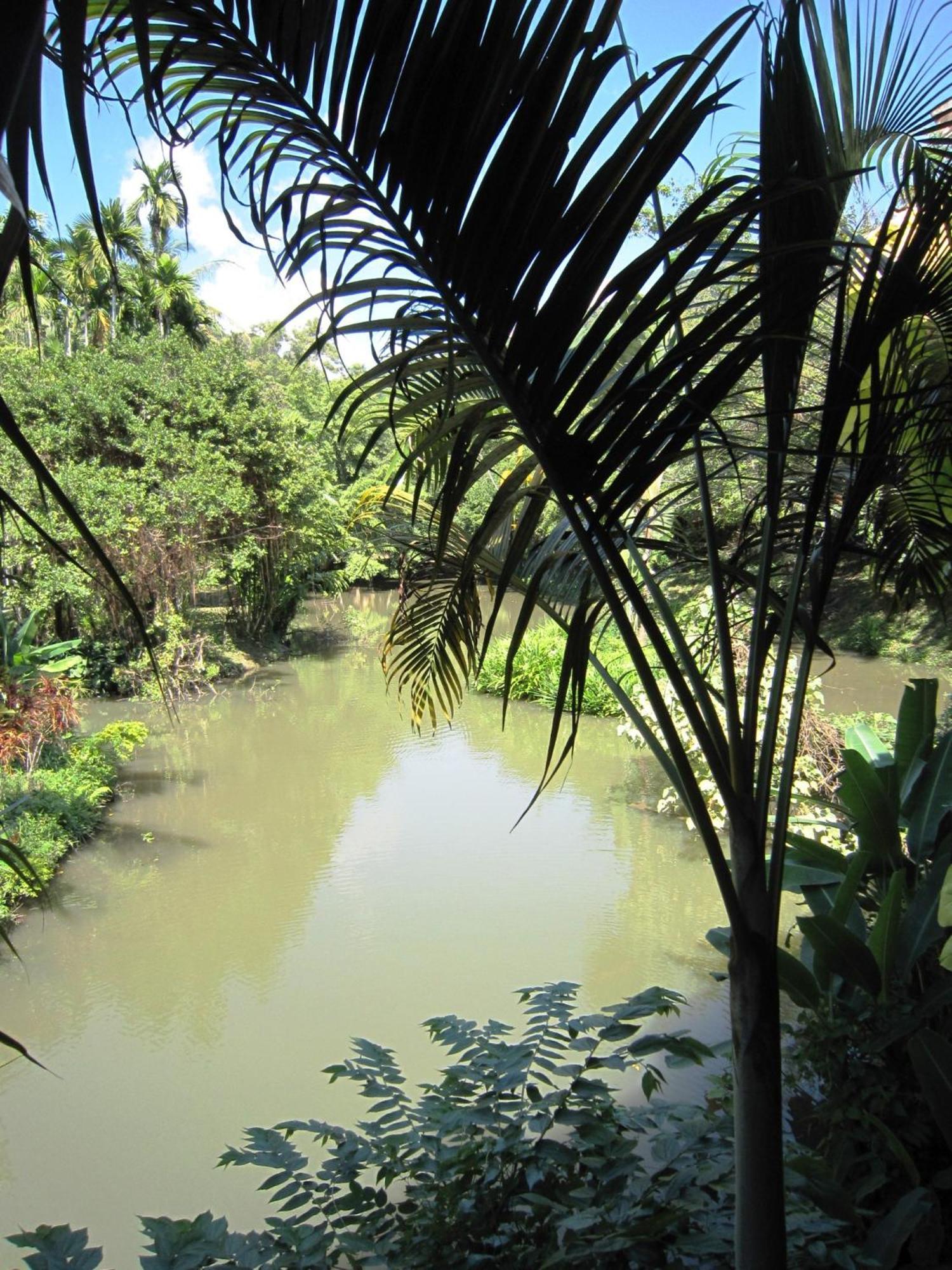 Phanom Bencha Mountain Resort Krabi Exterior photo